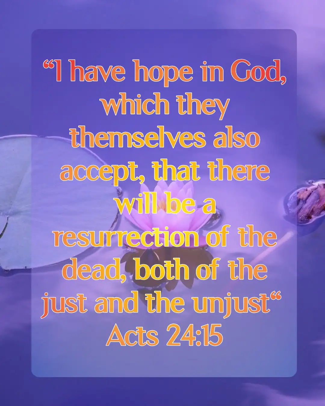 Bible verse about hope for the future (Acts 24:15)