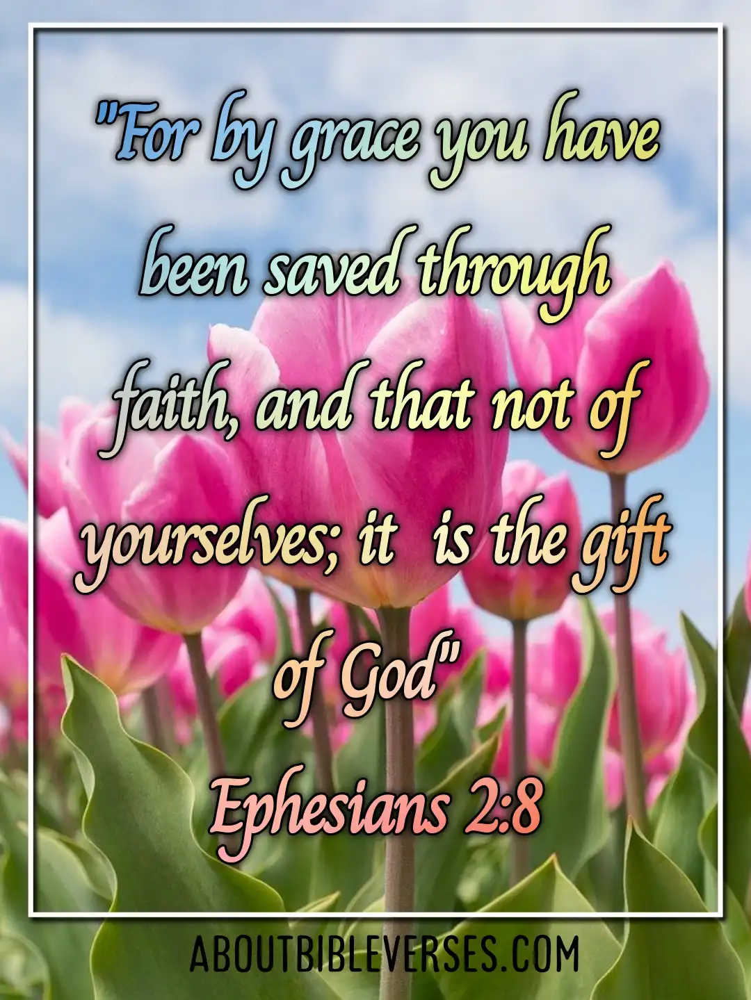 Bible Verses About Faith (Ephesians 2:8)