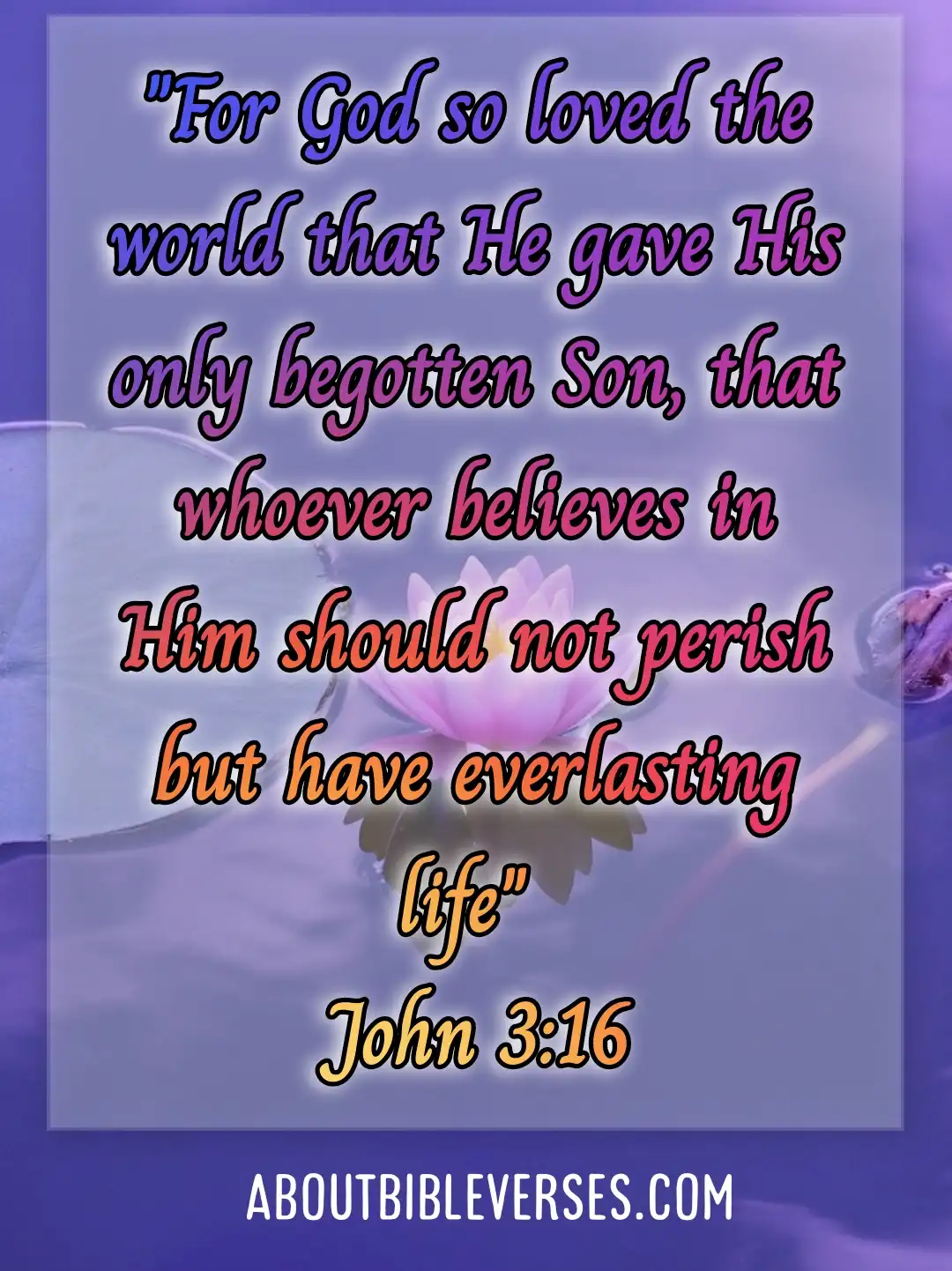 Bible Verses On Assurance Of Salvation (John 3:16)