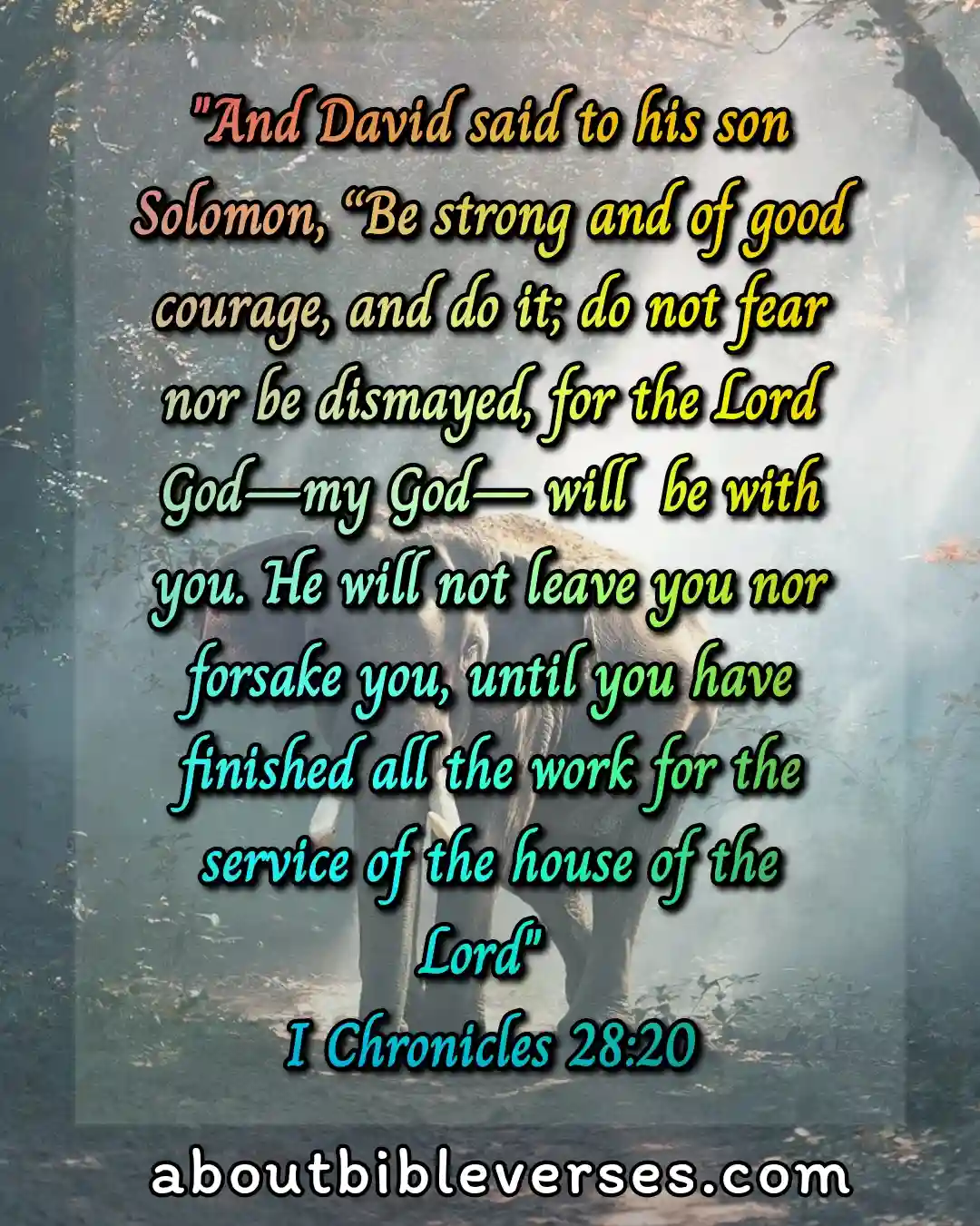 today Bible Verse (1 Chronicles 28:20)