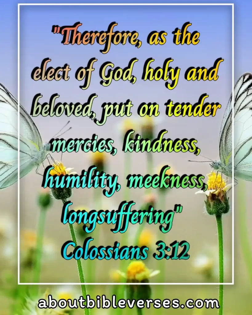 Bible Verses About Kindness (Colossians 3:12)