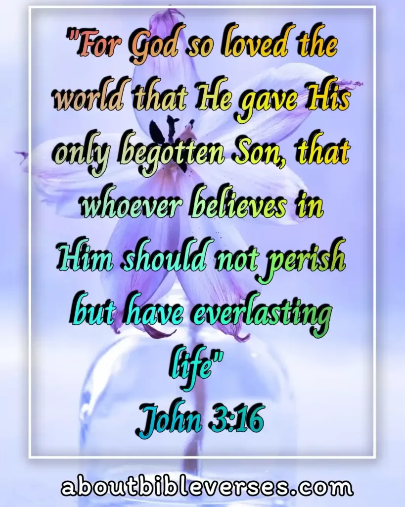 bible verses about for eternal life (John 3:16)