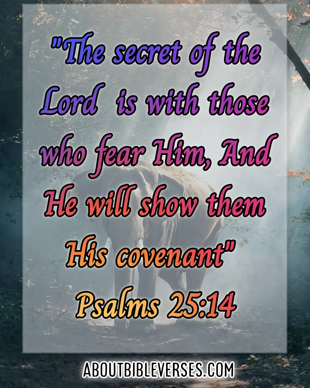 Bible Verses Fear Of God (Psalms 25:14)