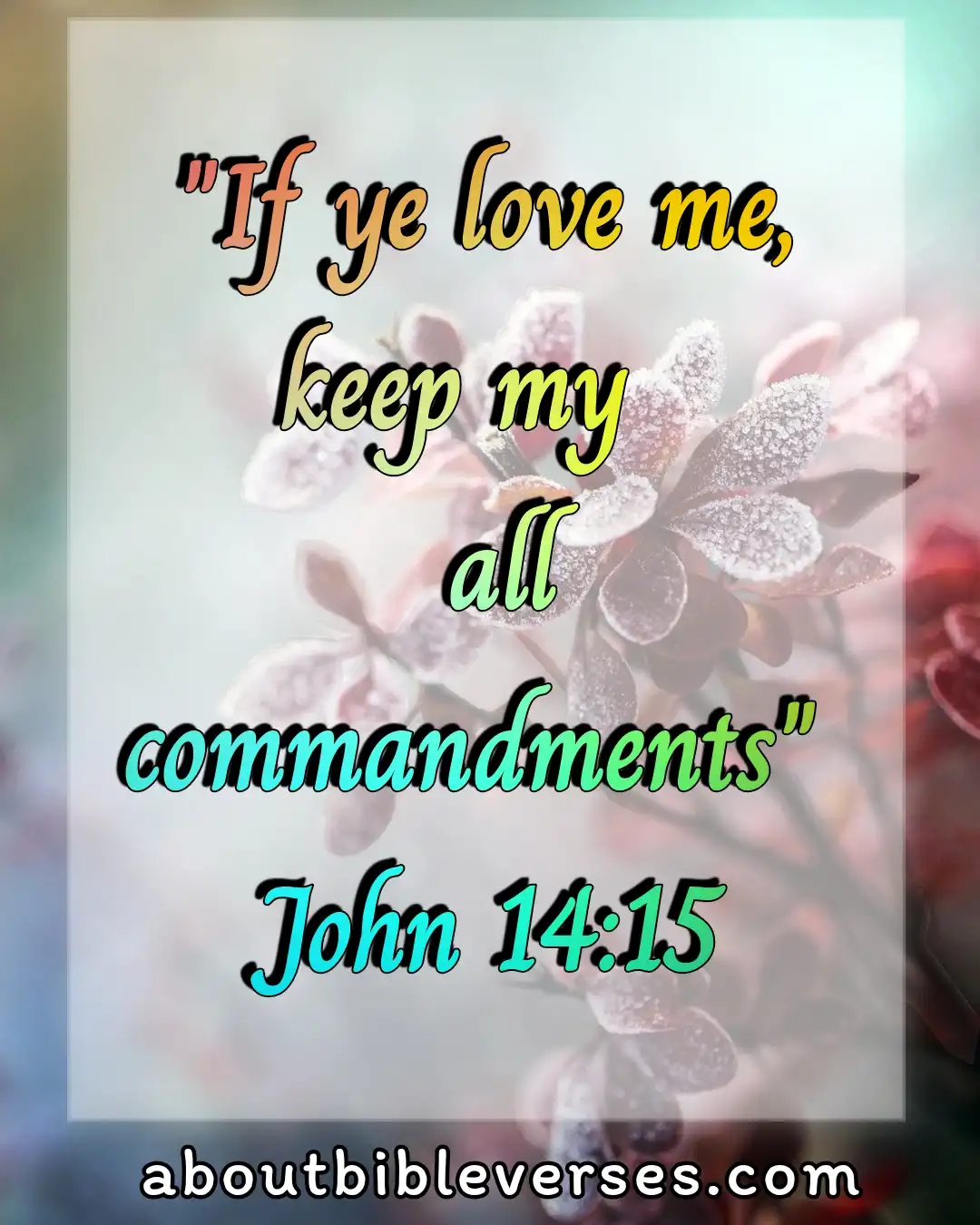 Bible Verses About Affection (John 14:15)