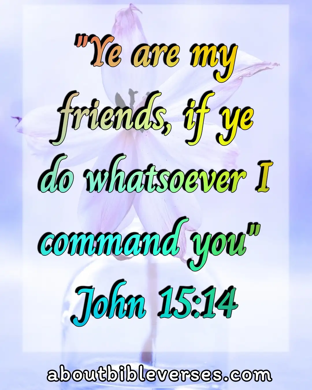 bible verses about Obedience (John 15:14)