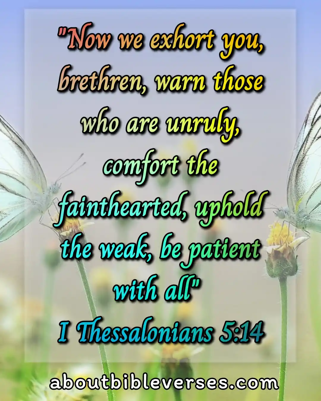 Today bible verses (1 Thessalonians 5:14)