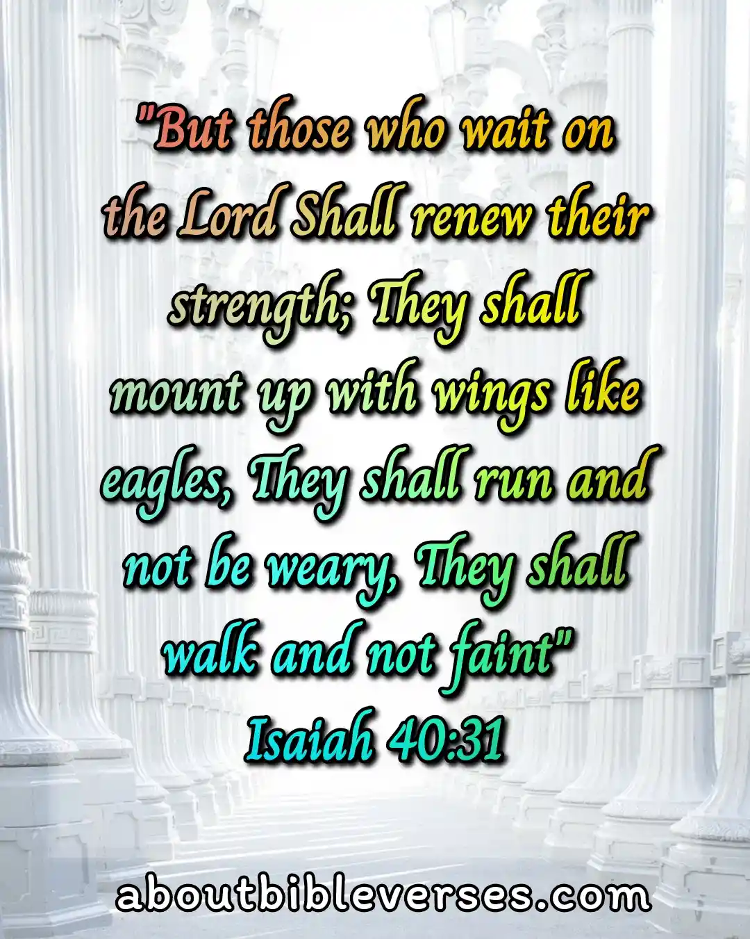 bible verses patience in hard times (Isaiah 40:31)