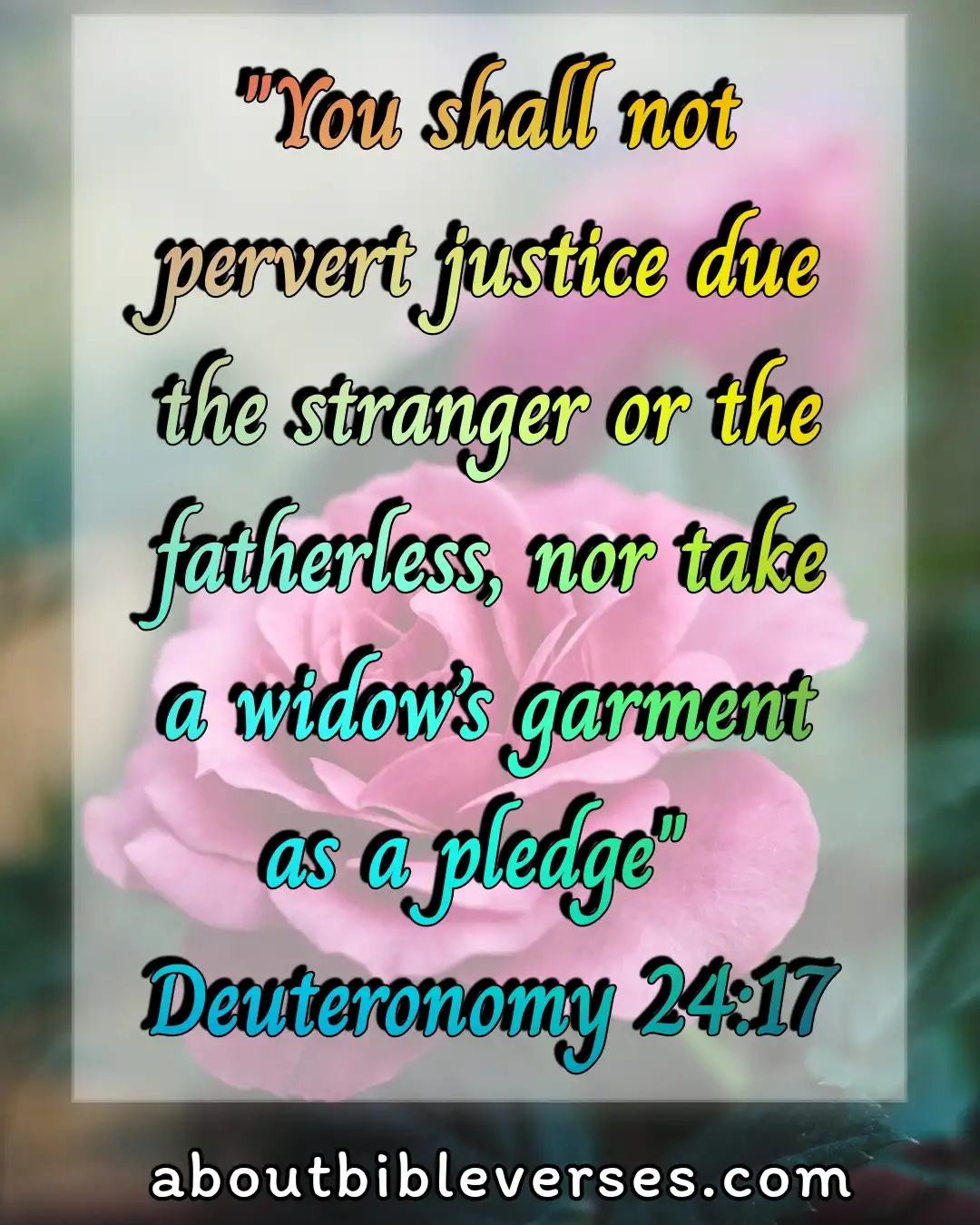 bible verses about widows (Deuteronomy 24:17)