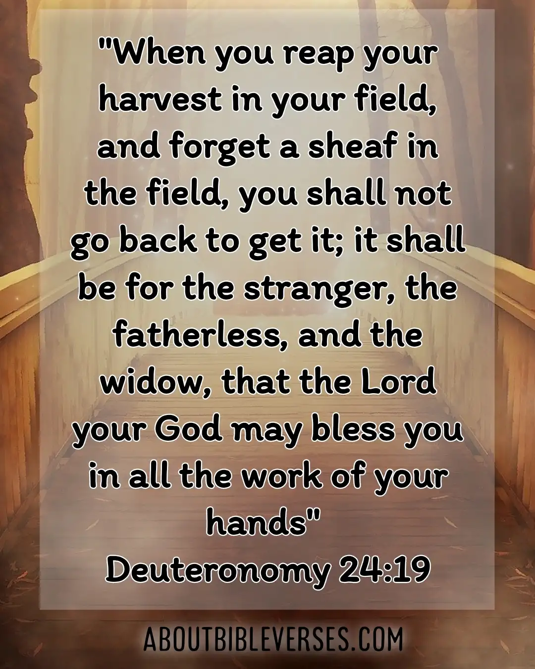 bible verses about widows (Deuteronomy 24:19)