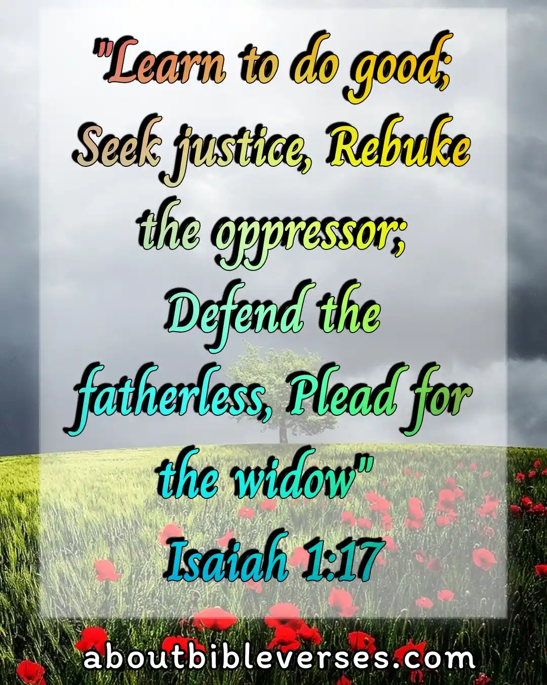 today bible verse (Isaiah 1:17)