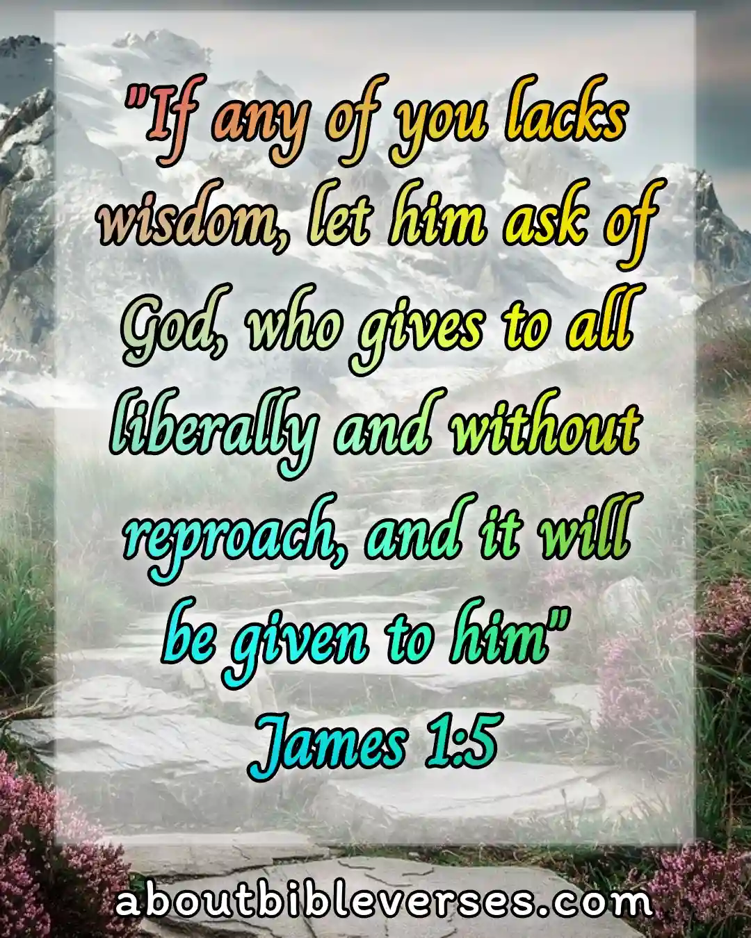 bible verses about wisdom (James 1:5)