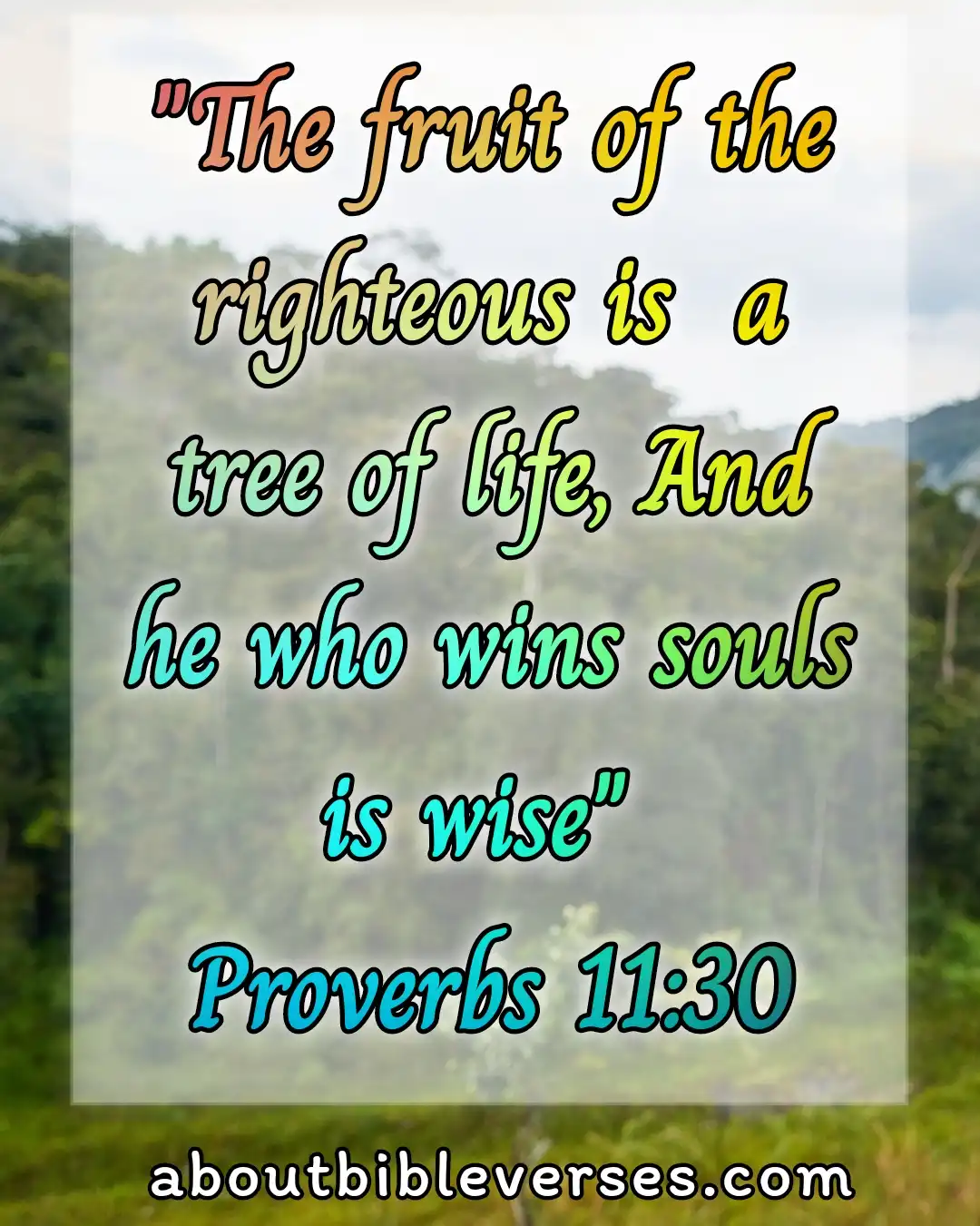 bible verses about wisdom (Proverbs 11:30)