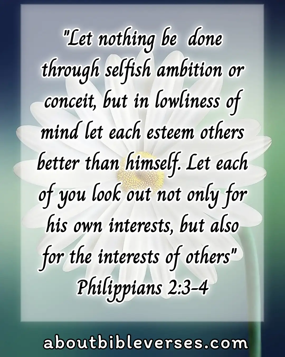 Bible say about Selfishness (Philippians 2:3-4)