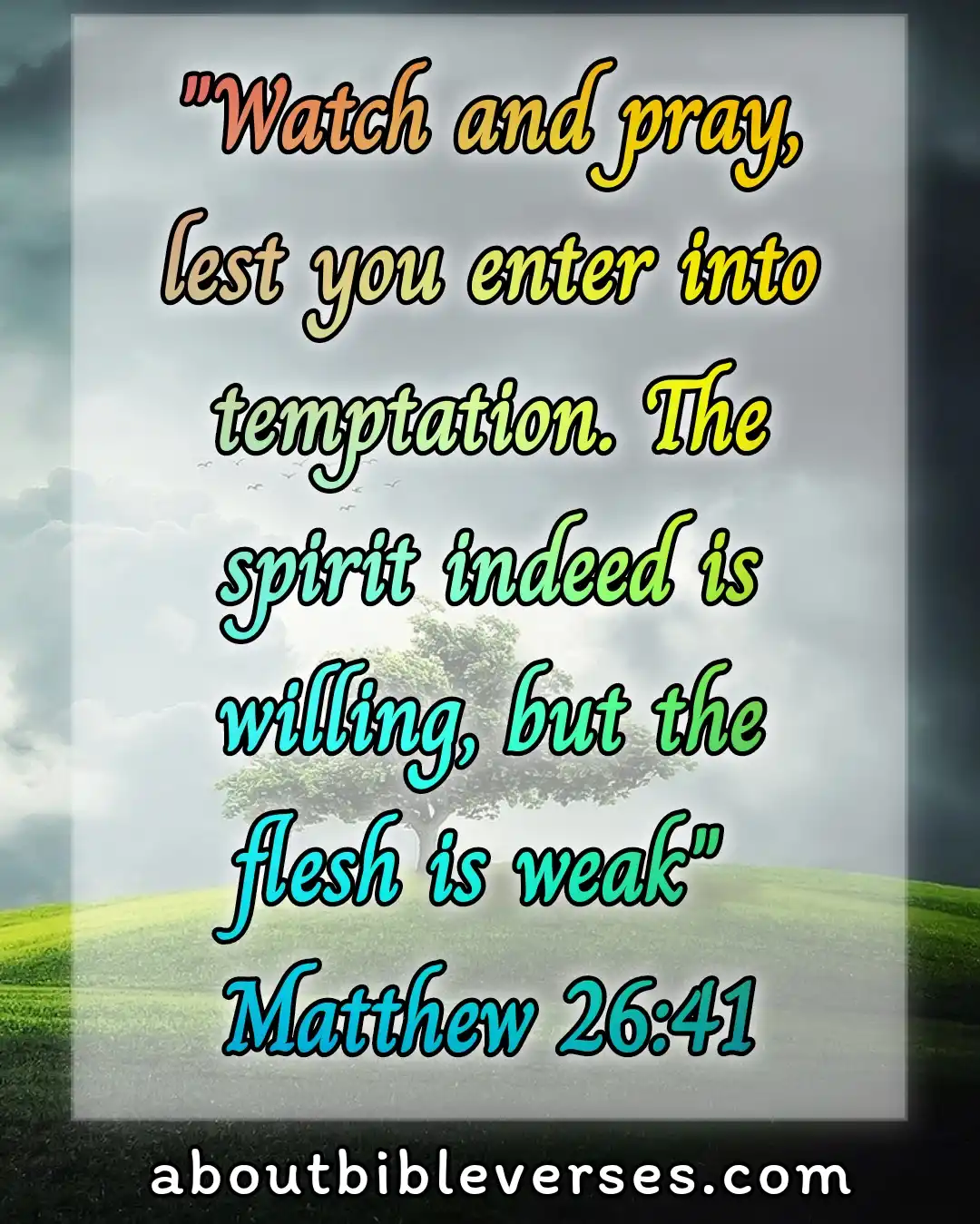 Today bible verse (Matthew 26:41)