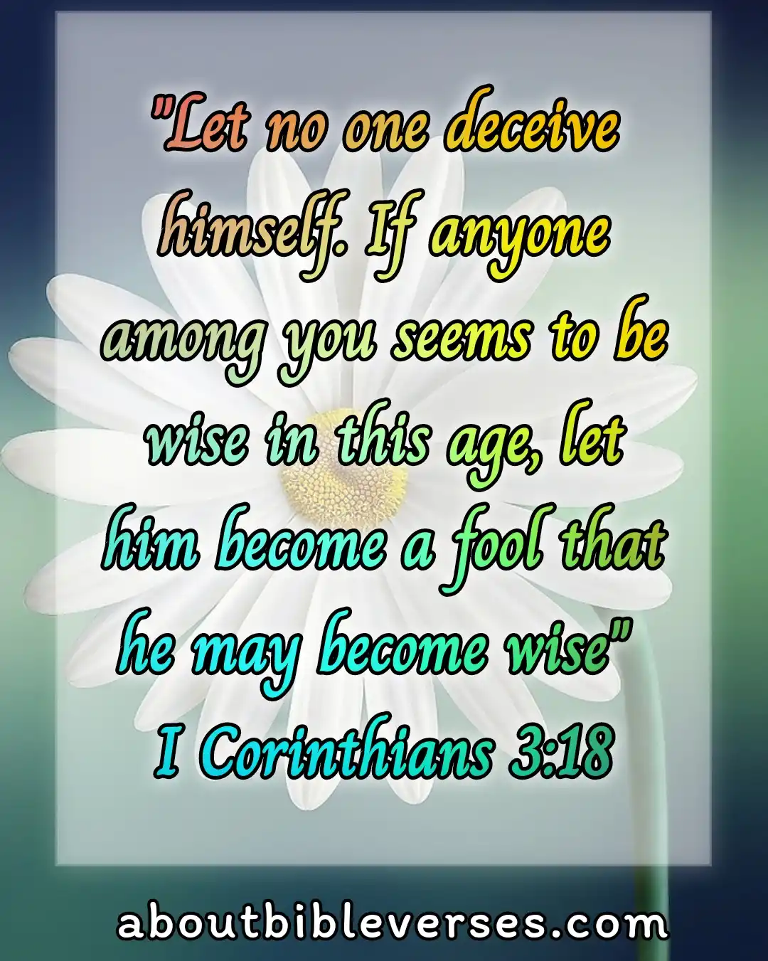 bible verses about fool (1 Corinthians 3:18)
