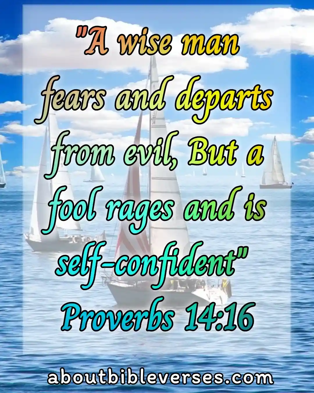 bible verses about fool (Proverbs 14:16)