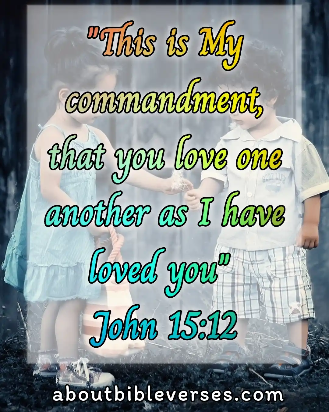 today bible verse (John 15:12)