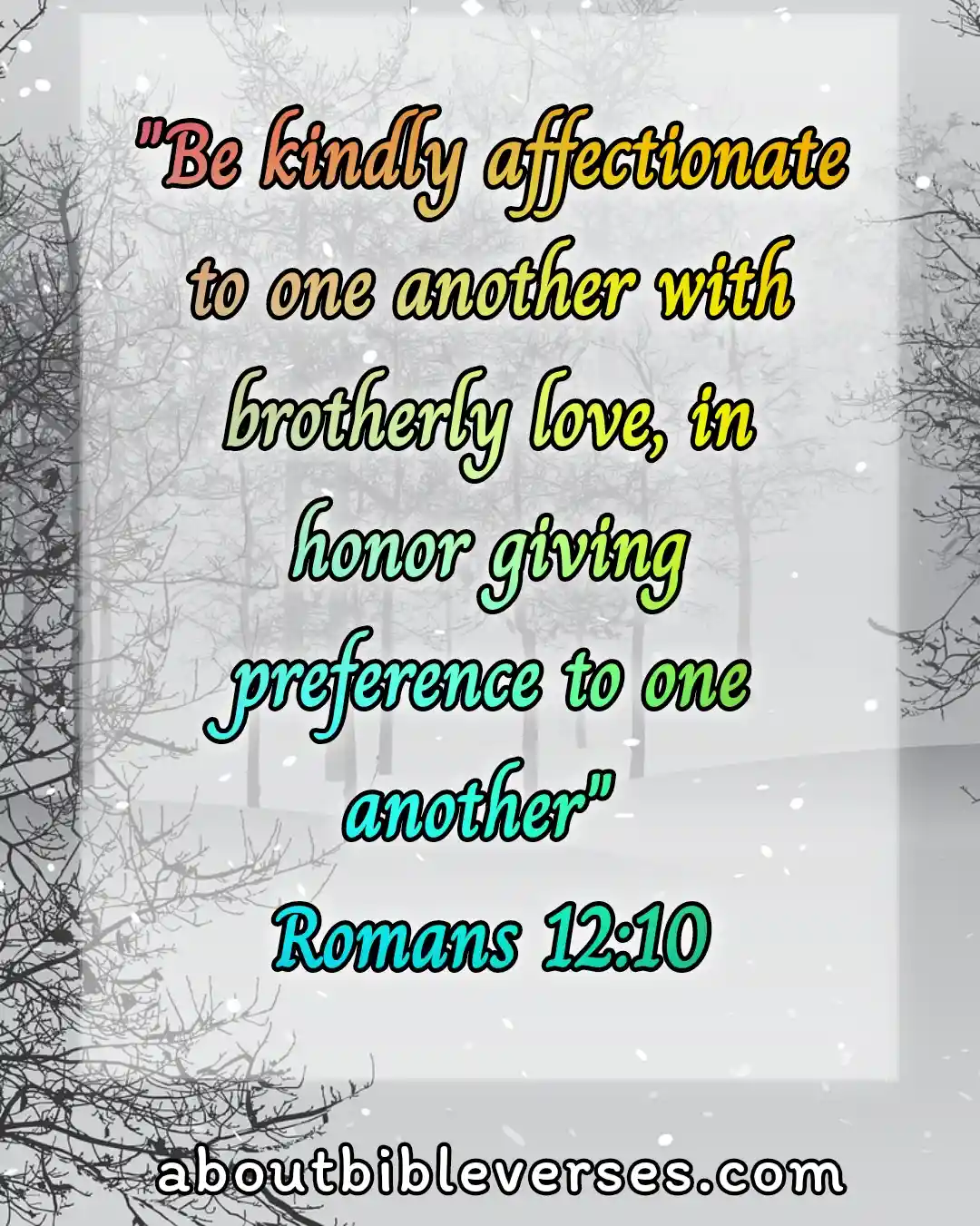 today bible verse (Romans 12:10)