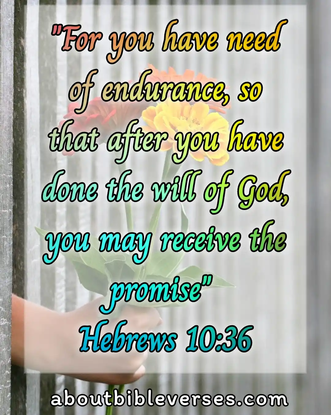 bible verses patience in hard times (Hebrews 10:36)