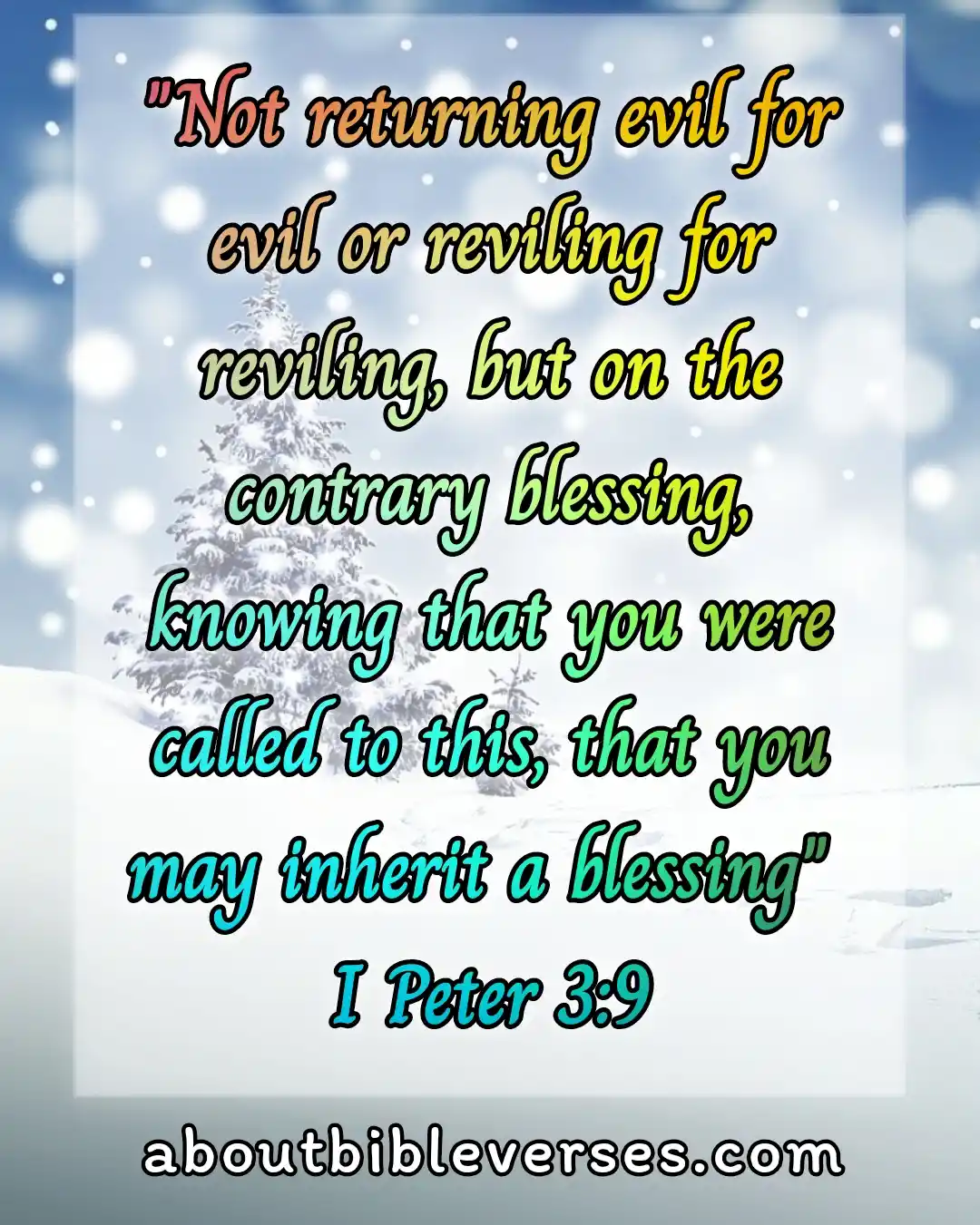 Happy Morning Tuesday Blessings Bible Verse (1 Peter 3:9)
