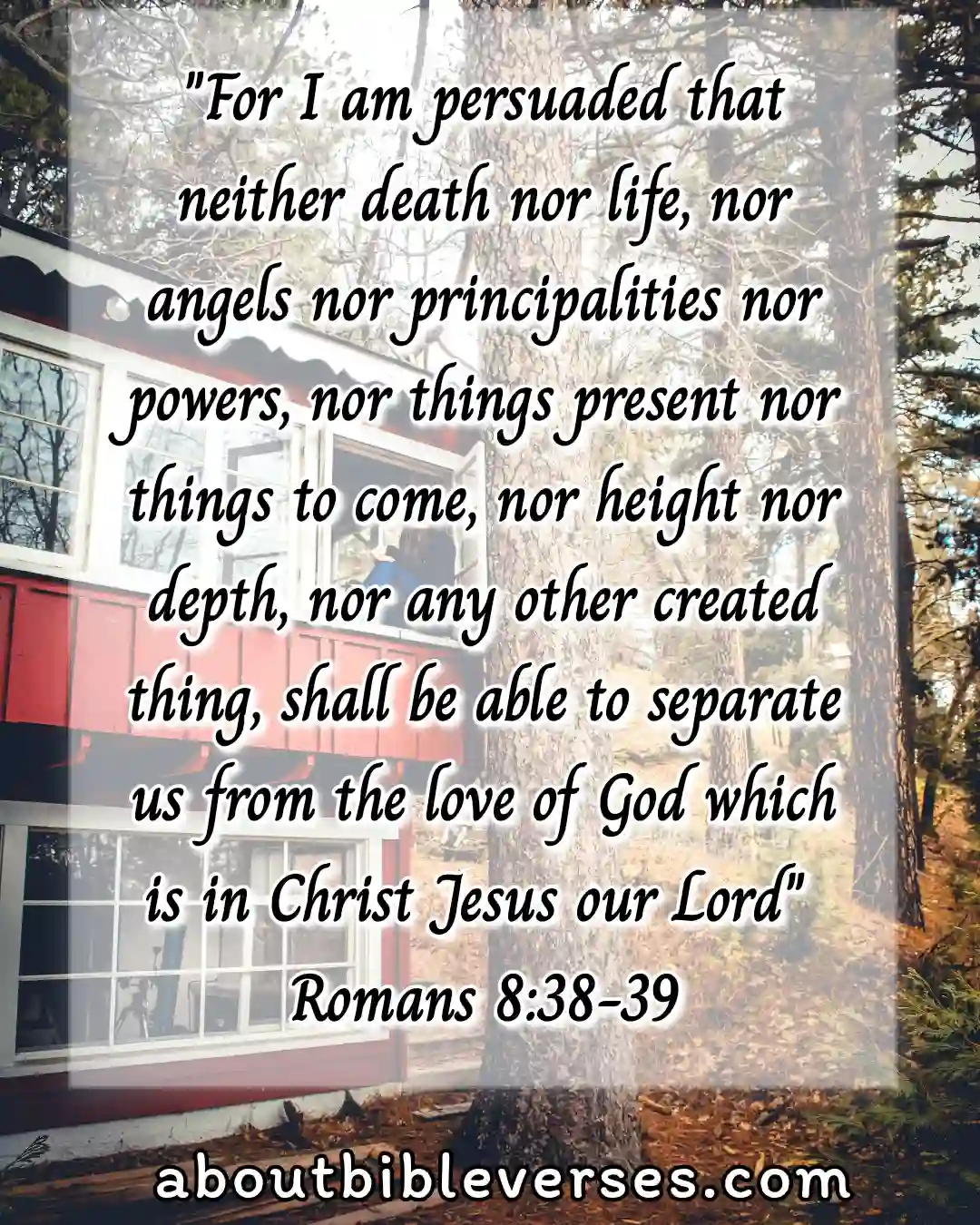 today Bible Verse (Romans 8:38-39)