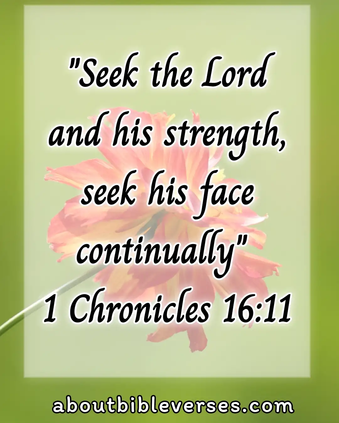 Good morning bible verses (1 Chronicles 16:11)