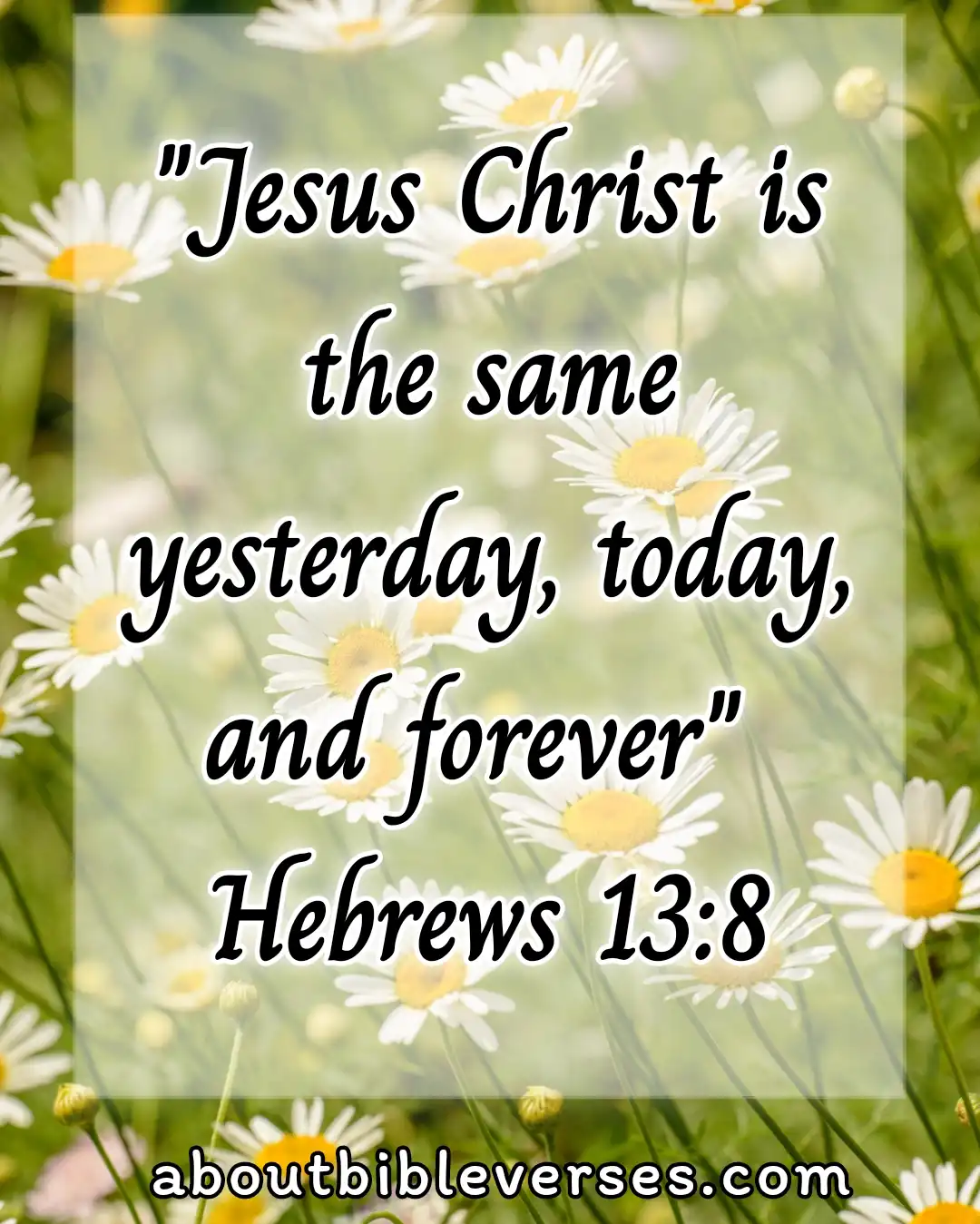 Good morning bible verses (Hebrews 13:8)