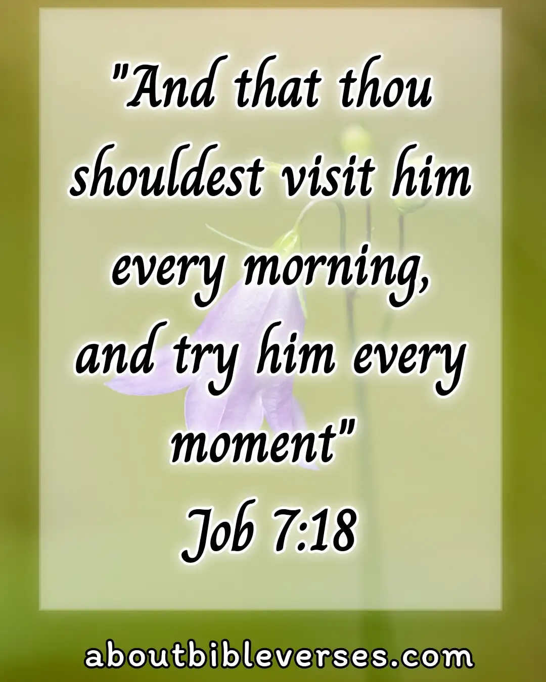 Good morning bible verses (Job 7:18)