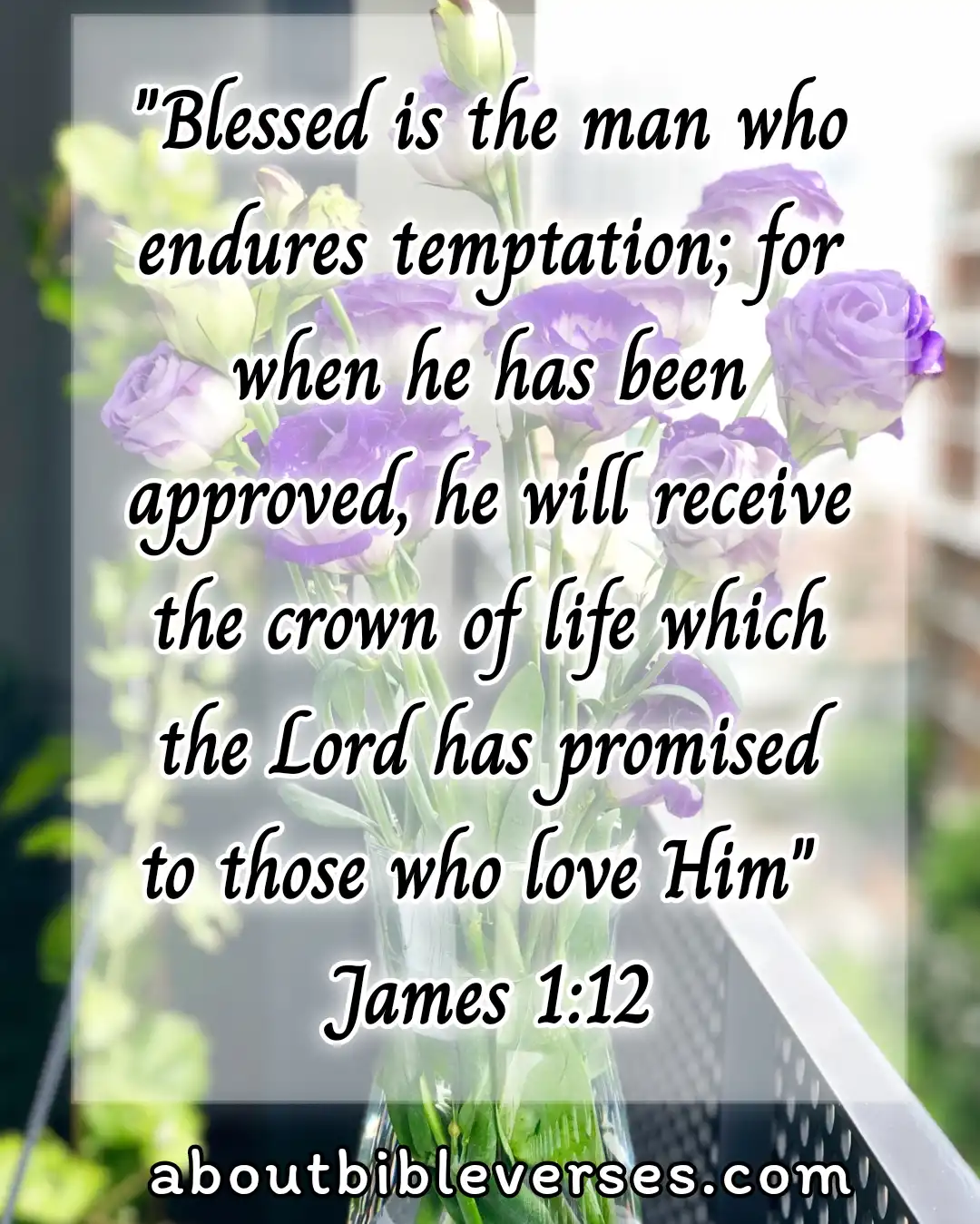 temptation bible verses (James 1:12)