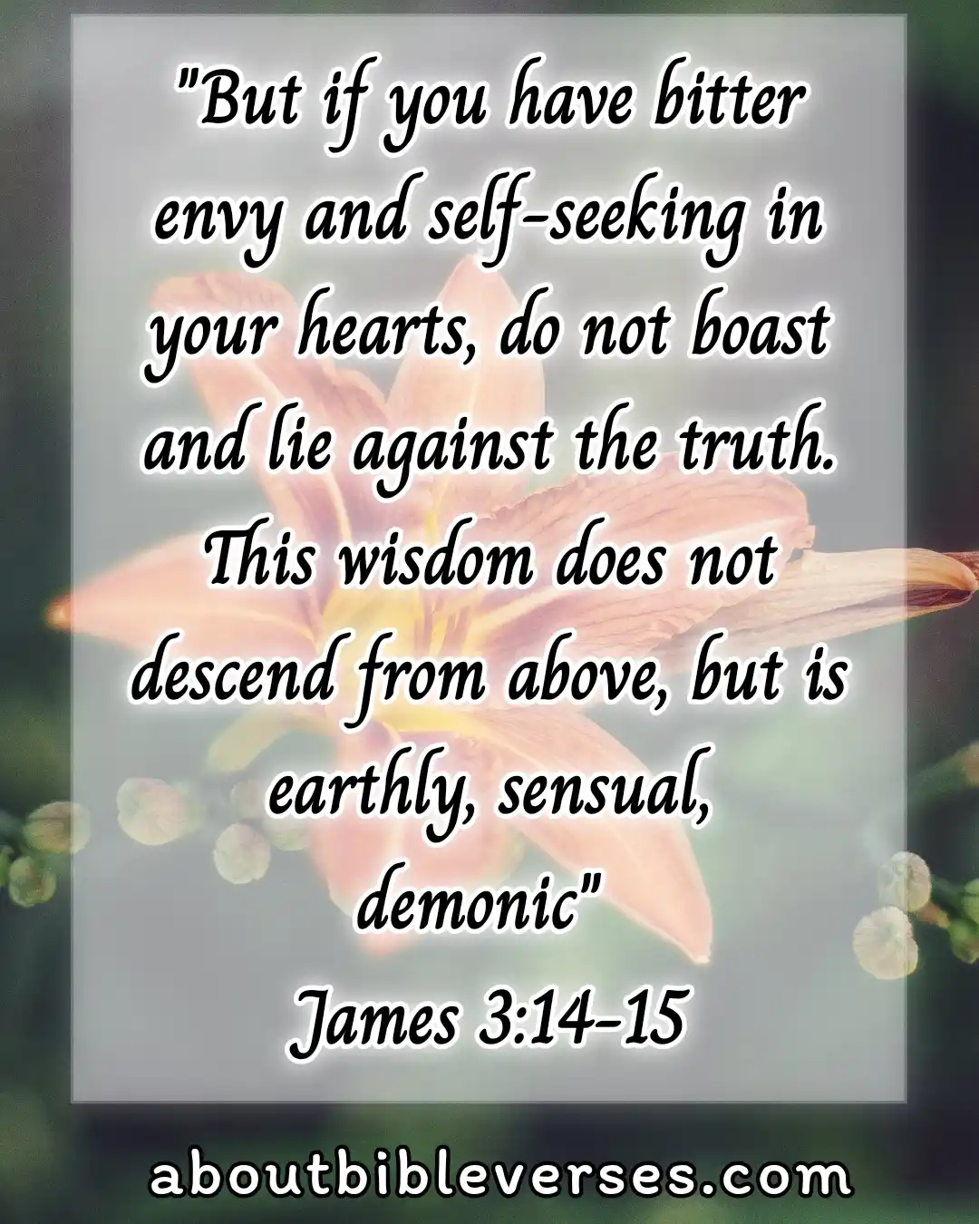 bible verses about jealousy and envy (James 3:14-15)