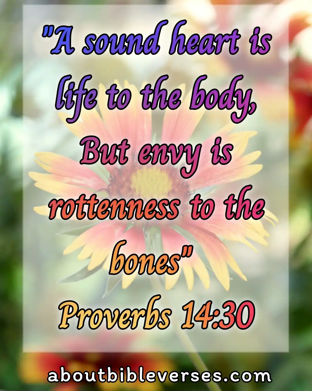today bible verse (Proverbs 14:30)