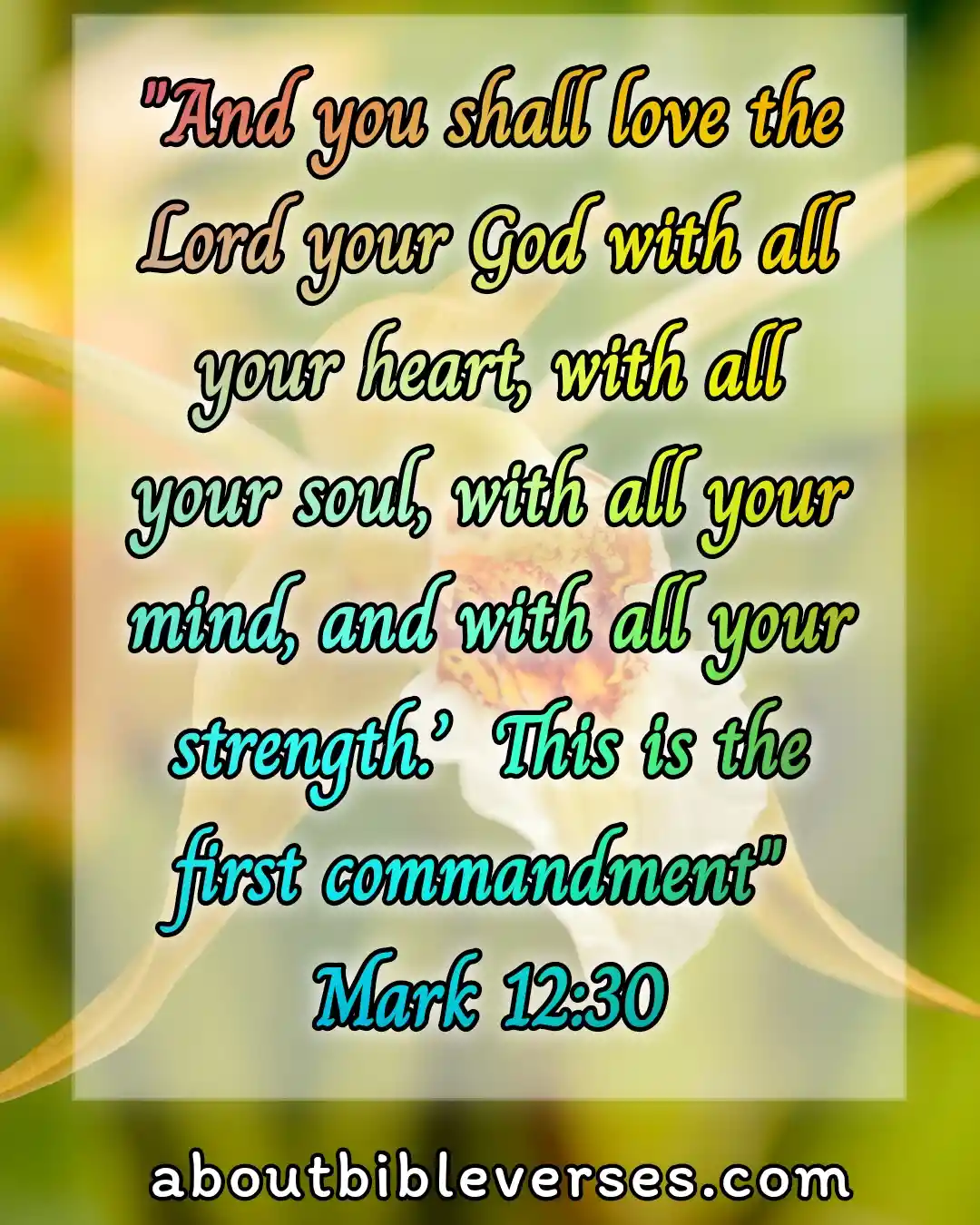 today bible verse (Mark 12:30)