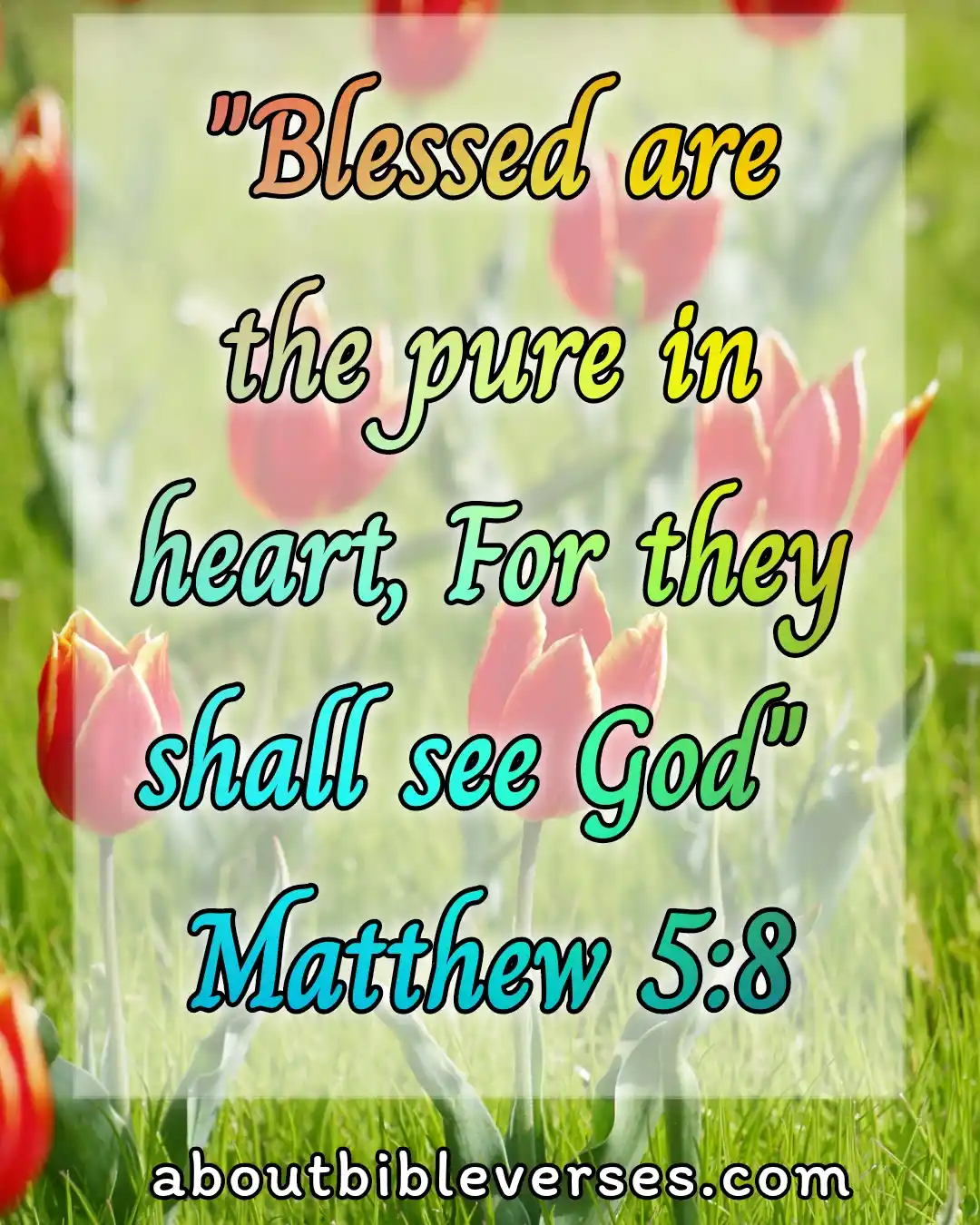 today bible verse (Matthew 5:8)