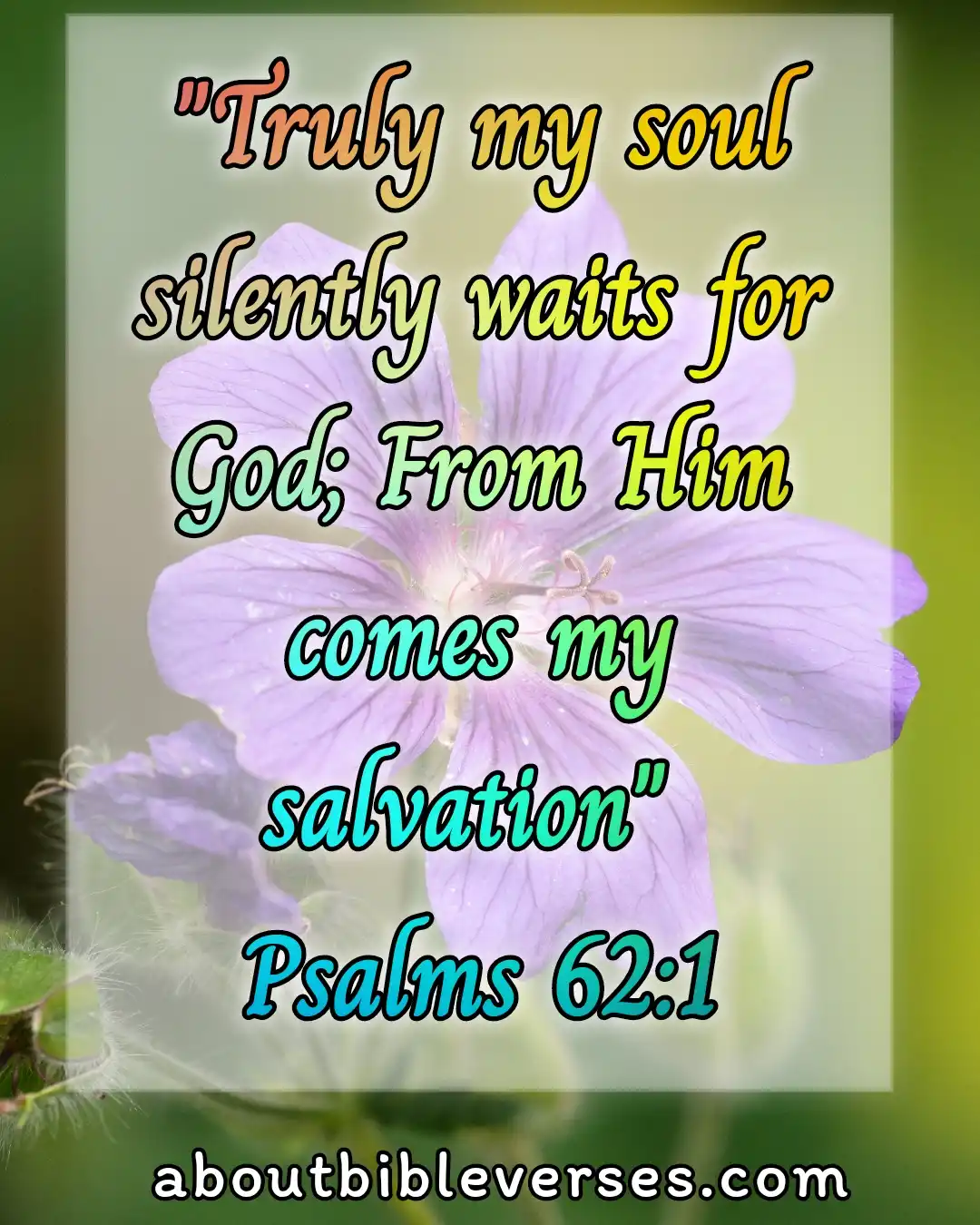 bible verses about your soul and heart (Psalm 62:1)