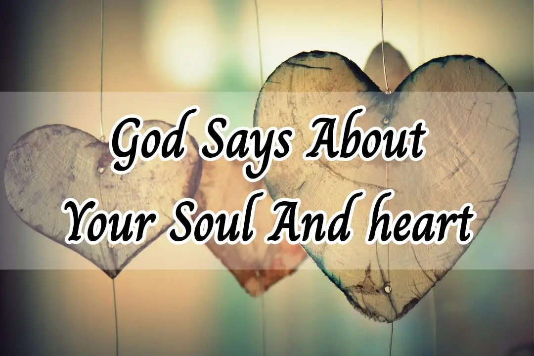bible verses about your soul and heart