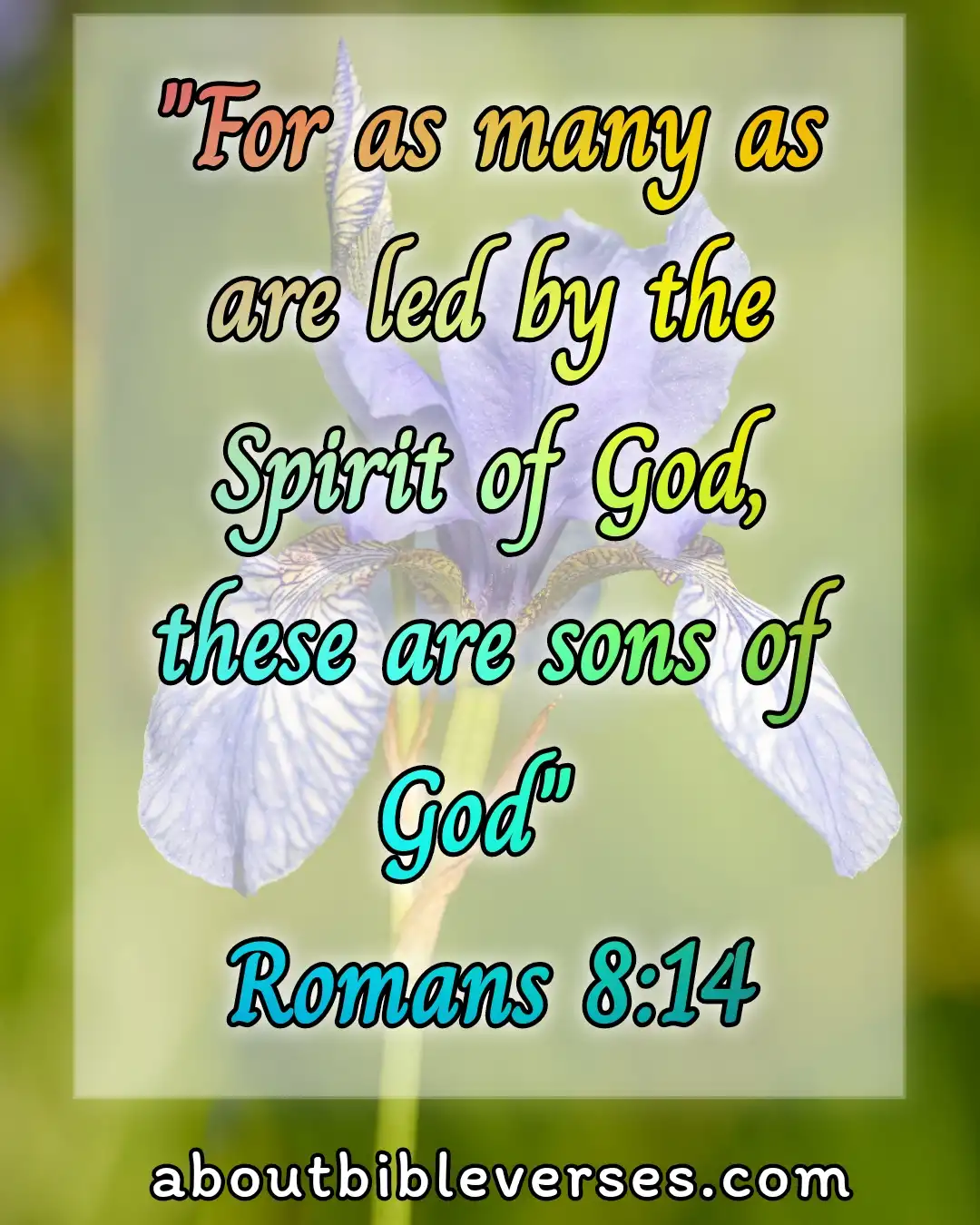 bible verses holiness (Romans 8:14)