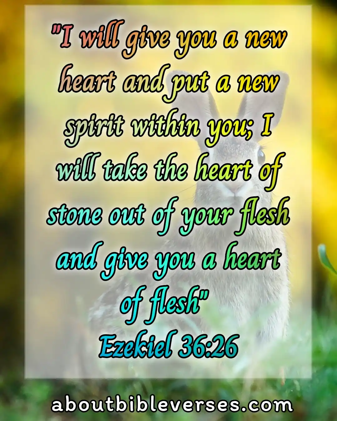 bible verses new beginnings (Ezekiel 36:26)