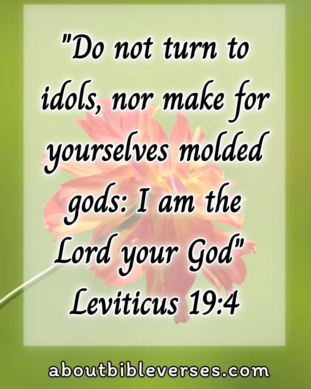 bible verses about idolatry (Leviticus 19:4)