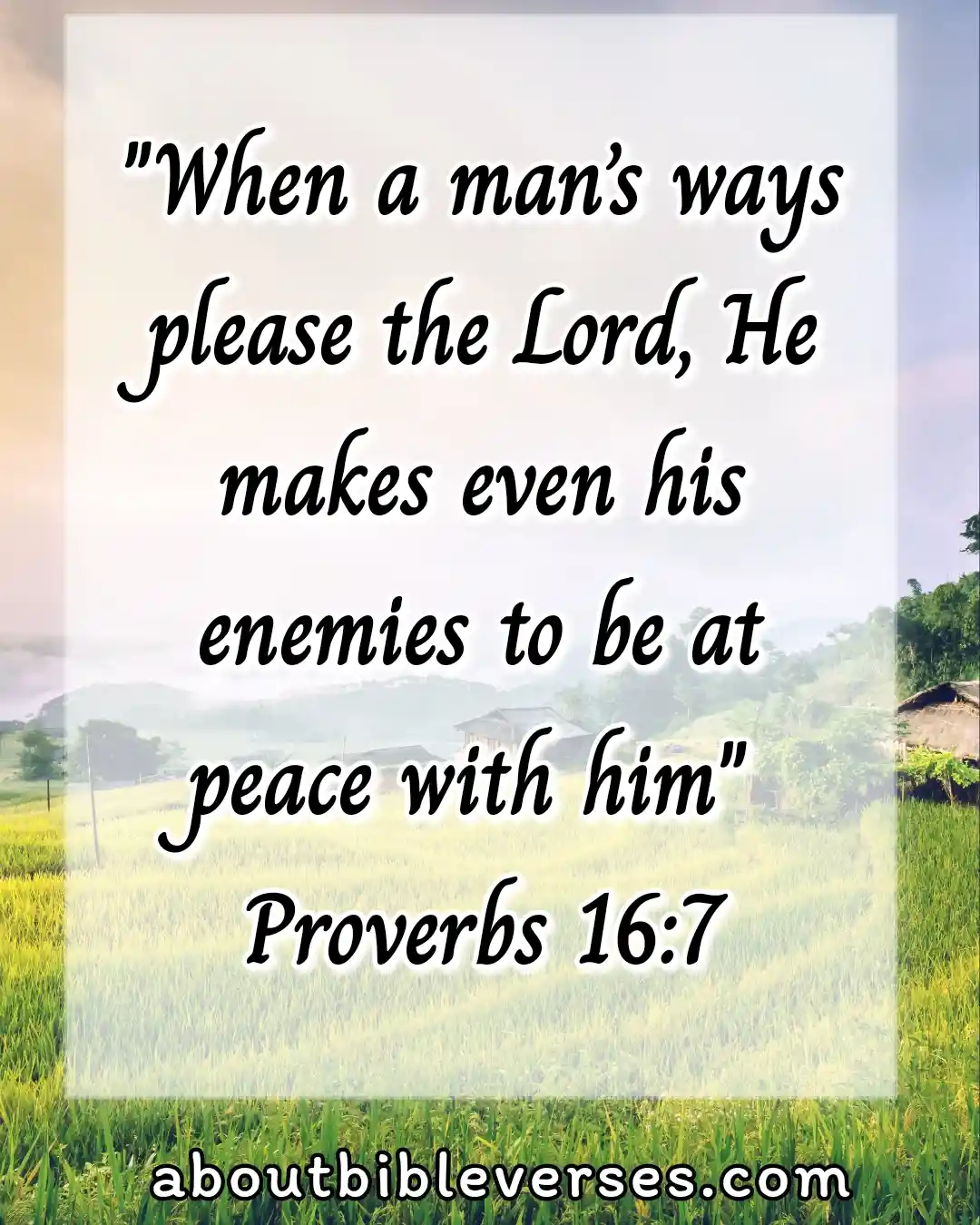 Wednesday Morning Bible Verses (Proverbs 16:7)