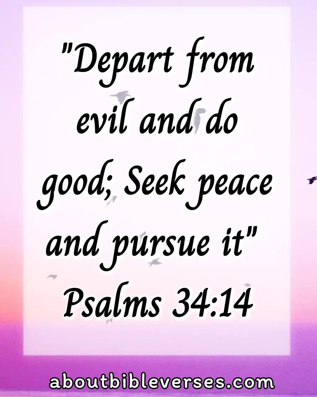 bible verses about peace (Psalm 34:14)