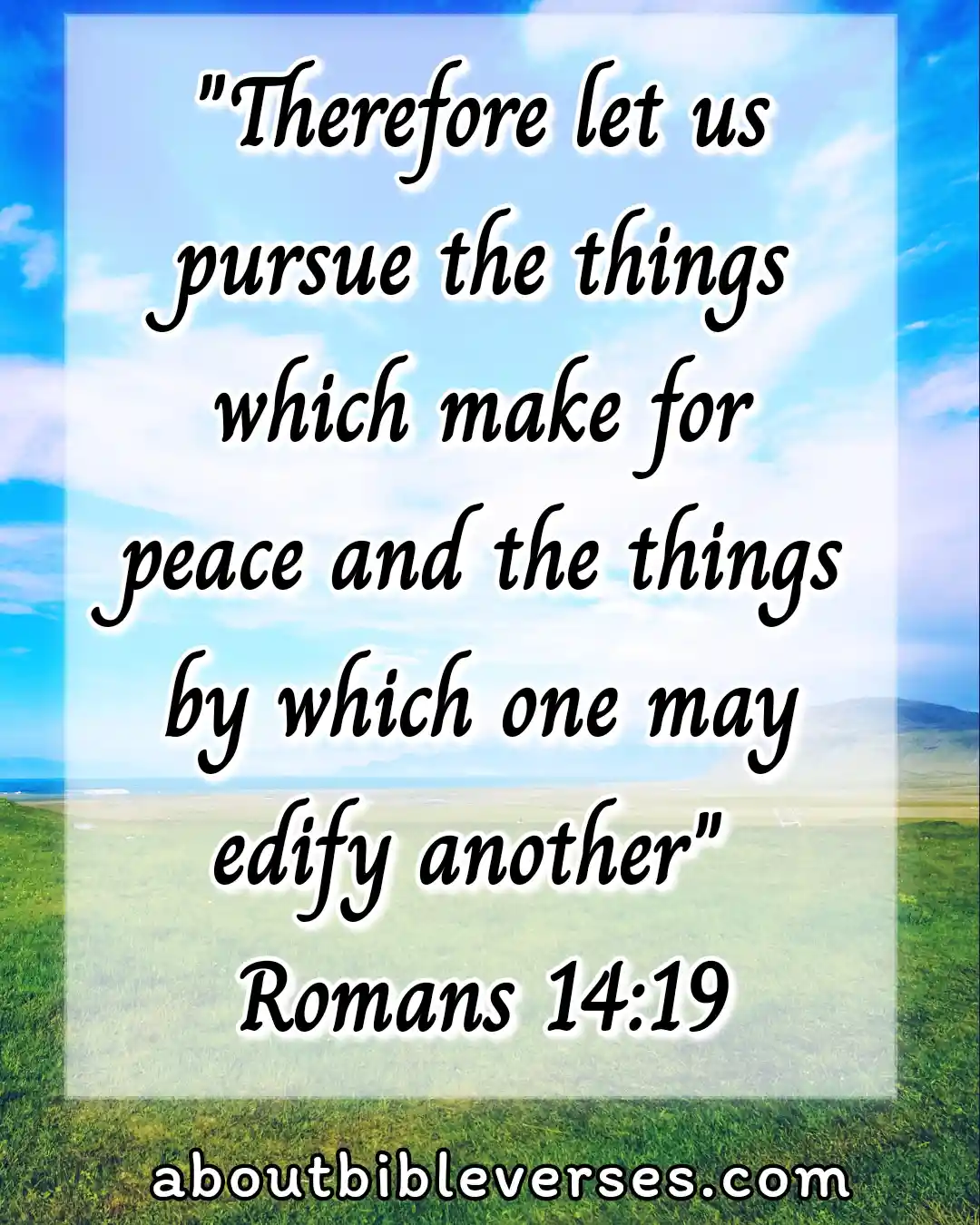 Bible Verses On Blessed Are The Peacemakers (Romans 14:19)