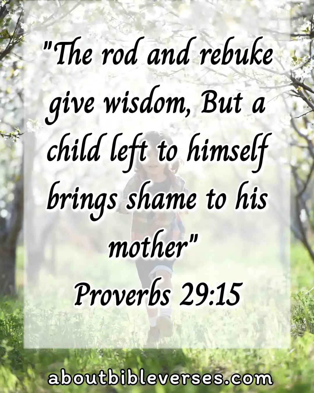Bible Verses About Discipline (Proverbs 29:15)