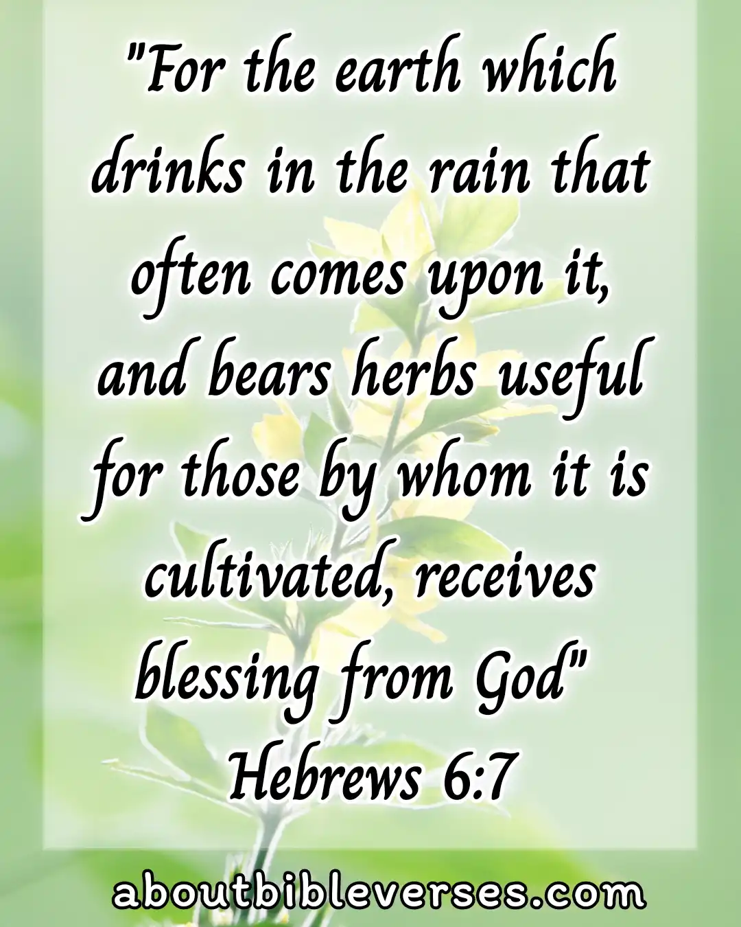 bible verses blessings from God (Hebrews 6:7)
