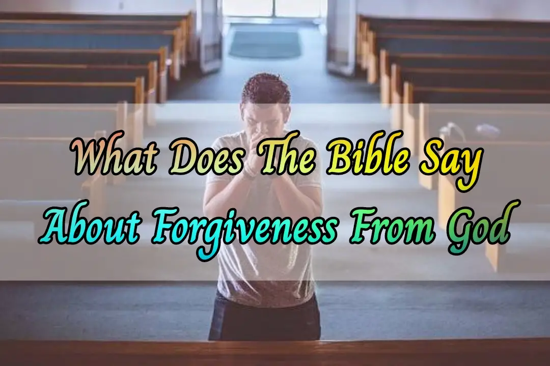 Bible Verses About Forgiveness of sins