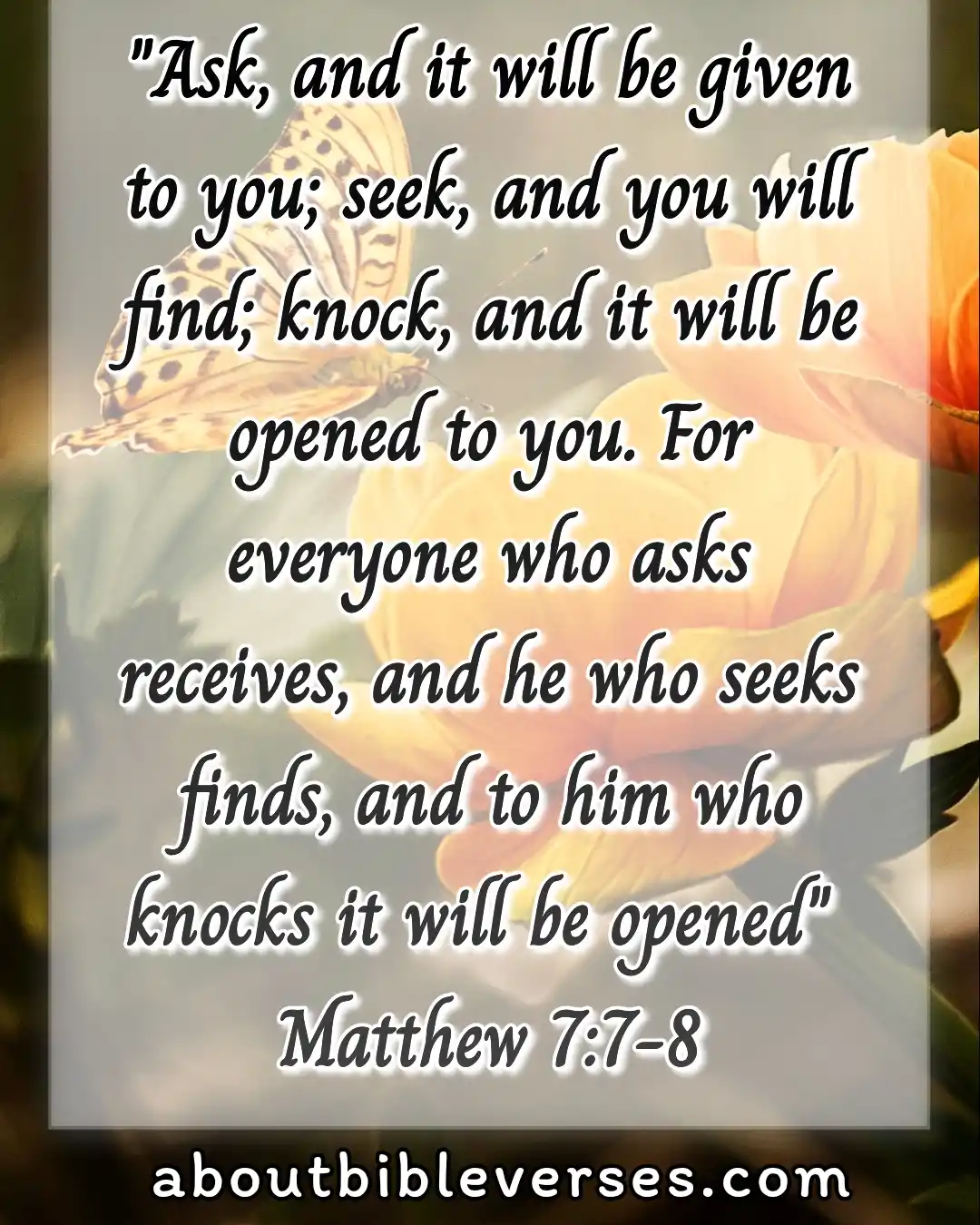 today Bible Verse(Matthew 7:7-8)