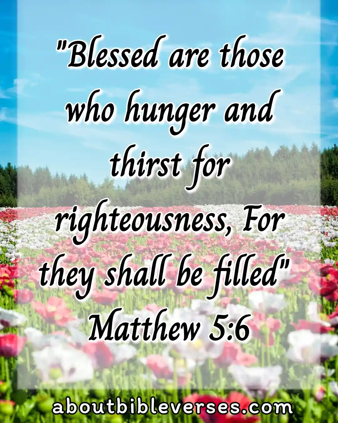 Wednesday Morning Bible Verses (Matthew 5:6)