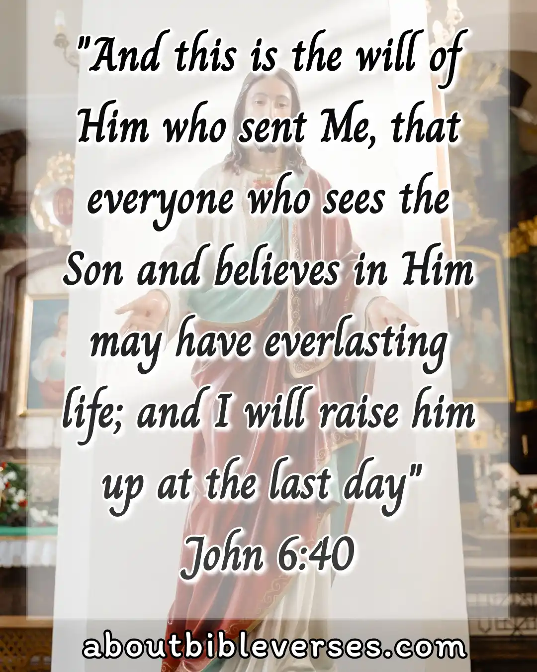 today bible verse (John 6:40)