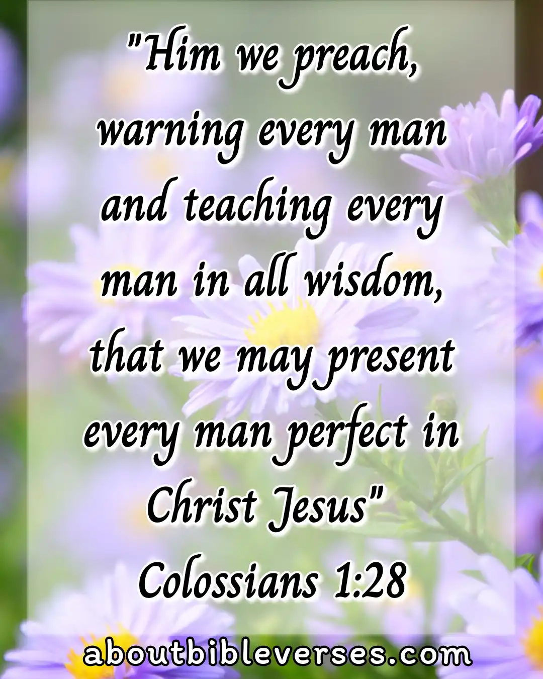 bible verses for teachers (Colossians 1:28)