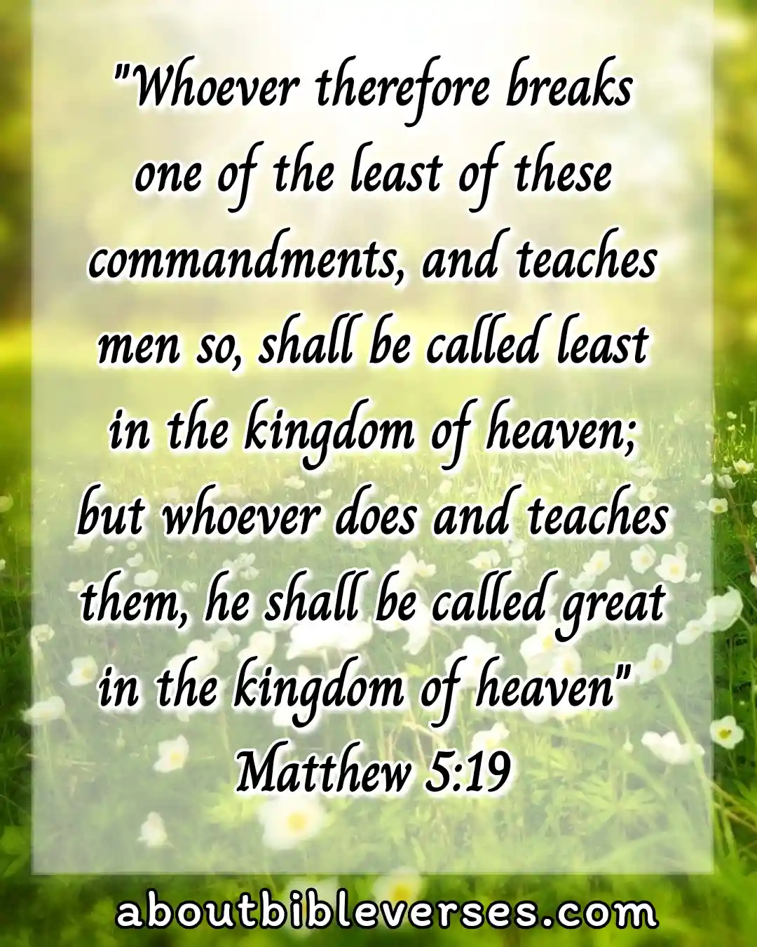 today bible verse (Matthew 5:19)