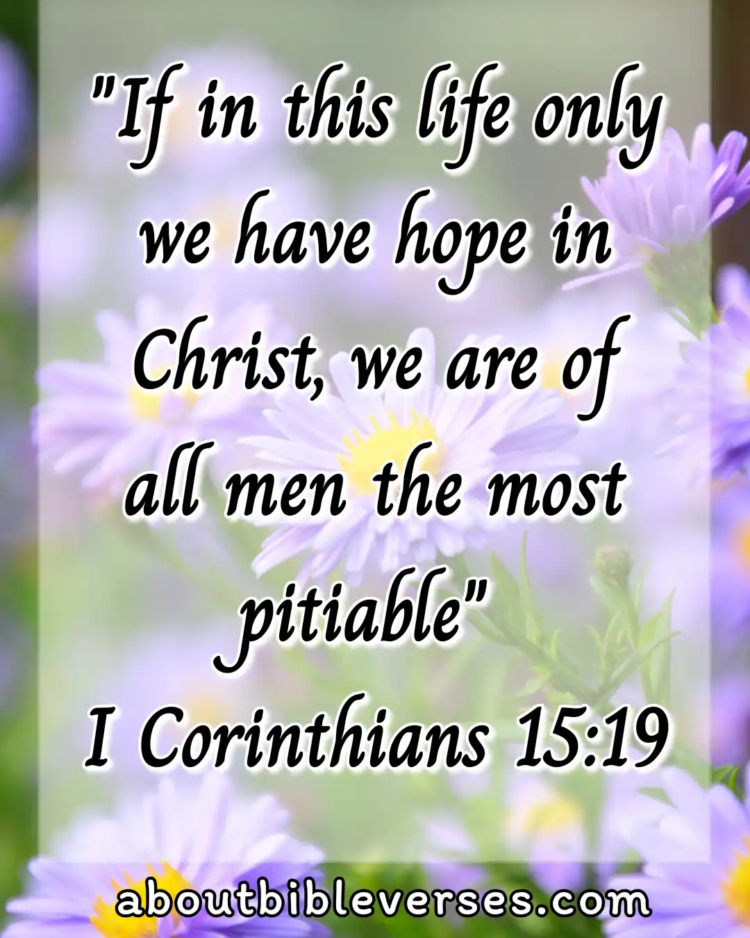hope bible verses (1 Corinthians 15:19)